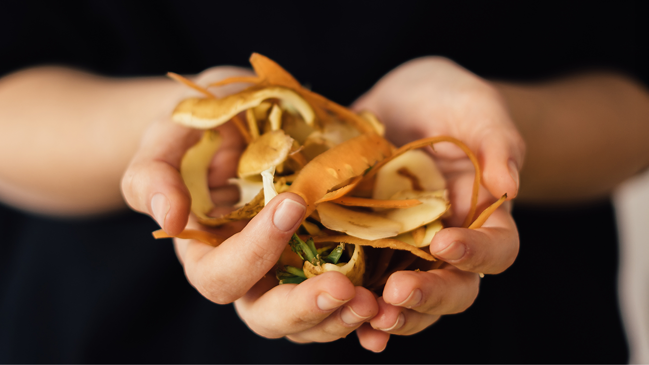 Food Waste Management